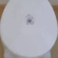 توالت فرنگی درحدنو