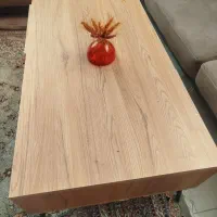 میز جلو مبلی|مبلمان خانگی و میز عسلی|بیرجند, |دیوار