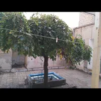 فروش خانه ویلایی 128متر۳ خوابه جنوبی درعلی قلی آقا|فروش خانه و ویلا|اصفهان, علی قلی آقا|دیوار