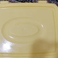 جانونی پلاستیکی