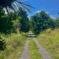 پلاک ۲۲۰ متری زمین با سند تکبرگ /شهرکی / برای ساخت