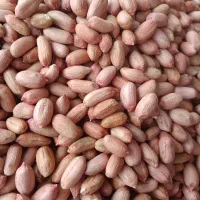 بادام زمینی گلی
