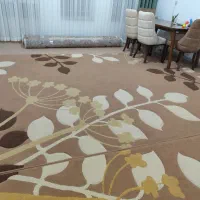 یک جفت گلیم فرش با کیفیت و زیبا ( دست دوم)|گلیم، جاجیم، گبه|کرمان, |دیوار