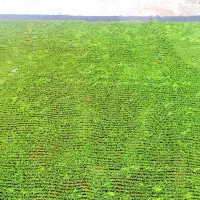 چمن مصنوعی استوک و کارکرده