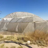 گلخانه درجه یک