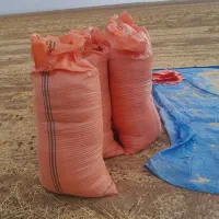 کاه کاهکوب مناسب و تمیز