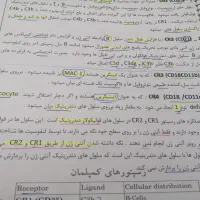 آزمون های آزمایشی قلمچی گاج