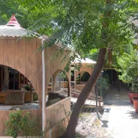 نیروی ساده و گارسن