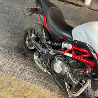 بنلی ۴۰۱ جفت فروش فوری|موتورسیکلت|مشهد, تربیت (صدف)|دیوار