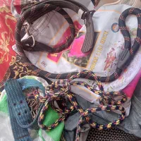 طناب سگ بزرگ کوچک