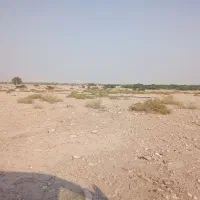 زمین کشاورزی|فروش دفتر صنعتی، کشاورزی، تجاری|فین, |دیوار