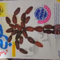 کتاب تست عربی کنکوری