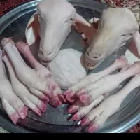 کله وپاچه|خوردنی و آشامیدنی|شیروان (خراسان), |دیوار