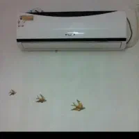 آپارتمان 50 متری در شهرک مرتضی گرد|اجارهٔ آپارتمان|تهران, خلازیر|دیوار