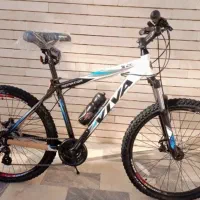 دوچرخه ویوا senator500