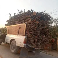خرید چوبهای باغبانی و هیزمی هرس|خدمات باغبانی و درختکاری|کرج, کمالشهر|دیوار