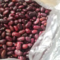 لوبیا قرمز خارجی|خوردنی و آشامیدنی|اصفهان, کوی امیریه|دیوار