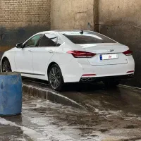 جنسیس رویال ۲۰۱۶ پلاک دائم اروند