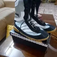 کفش بوکس