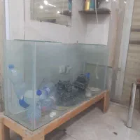 آکواریوم