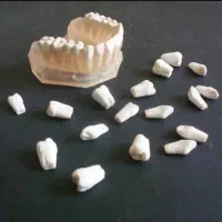 دانشجویان داندانپزشکی سراسر کشور ، آرک و دنتیس