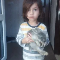 حیوان خانگی|موش و خرگوش|فولادشهر, مسکن مهر فولادشهر|دیوار