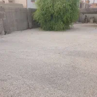 تک خواب نقلی