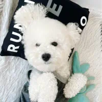 برای توله گیری