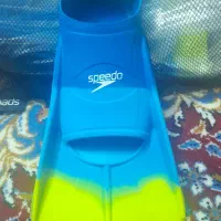 فین شنا|غواصی و ورزش‌های آبی|مشهد, کوشش|دیوار