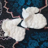 مانتوطرح لی|لباس|بروجرد, |دیوار