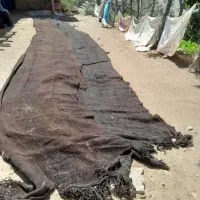 سیاه چادر عشایر در. حد. نو.