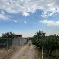 ۱۲۴ مترزمین آب+برق داخل ملک دماوند جابان چکی|فروش زمین و ملک کلنگی|دماوند, دماوند|دیوار