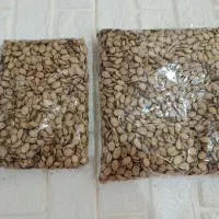 انواع تخمه وخوراکی|خوردنی و آشامیدنی|قم, پردیسان|دیوار