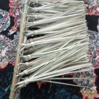 جارو پیش خرما