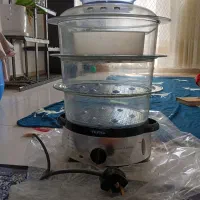 بخارپز اصل تفال