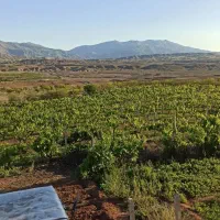 باغ جلفادشت گردیان|فروش خانه و ویلا|جلفا, |دیوار