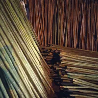 لوله خیزران کلی و جزیی|خدمات باغبانی و درختکاری|رشت, حومه رشت|دیوار