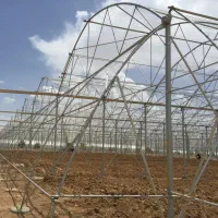 گلخانه ۸۰۰۰|عمده‌فروشی|ورامین, ورامین|دیوار