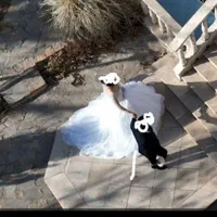 لباس عروس زیبا وبراق|لباس|بم, |دیوار