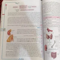 زیست یازدهم خیلی سبز|کتاب و مجله آموزشی|کرمانشاه, |دیوار