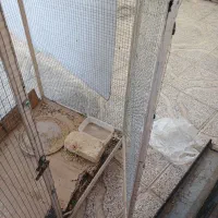 قفس بزرگ پرنده شهرضا|لوازم جانبی حیوانات|شهرضا, |دیوار