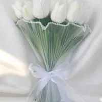 گل عروس