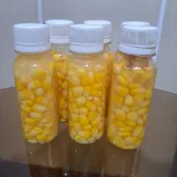 طعمه ماهیگیری