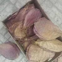 کاتاپا و سیستویفر فرص اسپرولینا دکپسوله ،متیلن بلو|ماهی|تهران, جیحون|دیوار