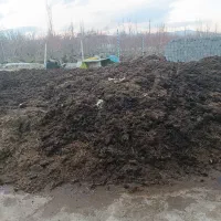 پهن یا کود حیوانی زیبیل بدون علف و سنگ