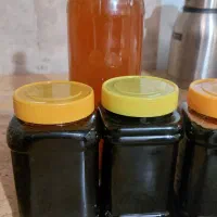 رب انار خانگی