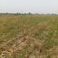 ۲هکتار زمین کشاورزی بین سیاهمنصور و چغاسبز|فروش دفتر صنعتی، کشاورزی، تجاری|دزفول, |دیوار