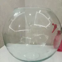 تنگ ماهی تنگ تراریوم