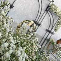 یه مراسم خاص تو تالار شیشـه‌ای بگیر|خدمات پذیرایی، مراسم|مشکین‌دشت, |دیوار