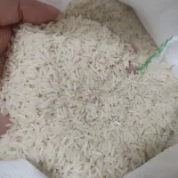 هاشمی مجلسی خوش پخت|خوردنی و آشامیدنی|باقرشهر, |دیوار